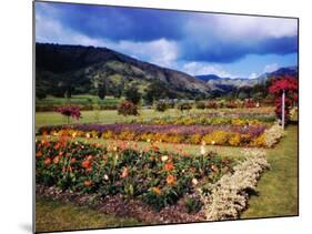 West Indies-Eliot Elisofon-Mounted Photographic Print