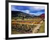 West Indies-Eliot Elisofon-Framed Photographic Print