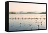 West Lake at Dusk, Hangzhou, Zhejiang, China, Asia-Andreas Brandl-Framed Stretched Canvas