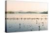 West Lake at Dusk, Hangzhou, Zhejiang, China, Asia-Andreas Brandl-Stretched Canvas