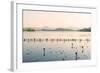 West Lake at Dusk, Hangzhou, Zhejiang, China, Asia-Andreas Brandl-Framed Photographic Print