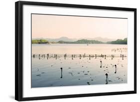 West Lake at Dusk, Hangzhou, Zhejiang, China, Asia-Andreas Brandl-Framed Photographic Print