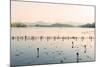 West Lake at Dusk, Hangzhou, Zhejiang, China, Asia-Andreas Brandl-Mounted Photographic Print