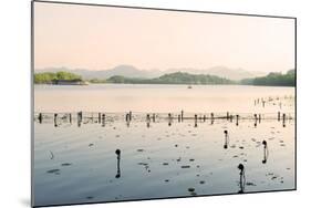 West Lake at Dusk, Hangzhou, Zhejiang, China, Asia-Andreas Brandl-Mounted Photographic Print