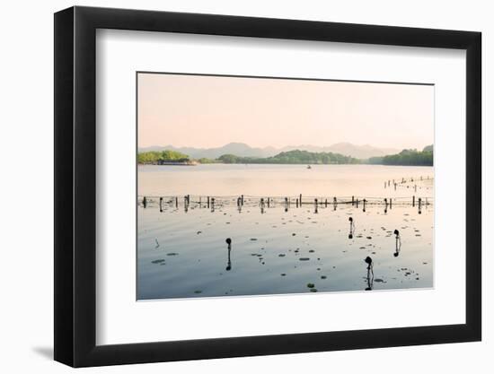 West Lake at Dusk, Hangzhou, Zhejiang, China, Asia-Andreas Brandl-Framed Photographic Print