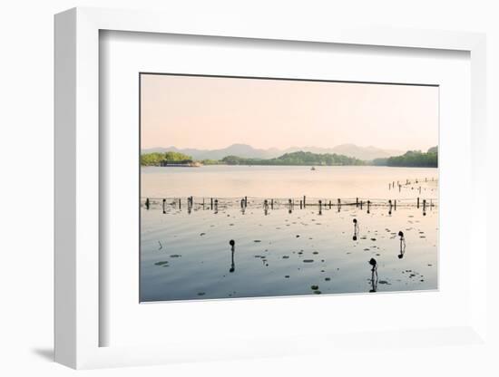 West Lake at Dusk, Hangzhou, Zhejiang, China, Asia-Andreas Brandl-Framed Photographic Print