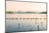 West Lake at Dusk, Hangzhou, Zhejiang, China, Asia-Andreas Brandl-Mounted Photographic Print