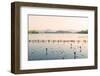 West Lake at Dusk, Hangzhou, Zhejiang, China, Asia-Andreas Brandl-Framed Premium Photographic Print