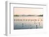 West Lake at Dusk, Hangzhou, Zhejiang, China, Asia-Andreas Brandl-Framed Premium Photographic Print