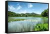 West Lake Landscape with Green Hills, Lake and Blue Sky, Hangzhou, Zhejiang, China-Andreas Brandl-Framed Stretched Canvas