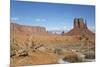 West Mitten Butte, Monument Valley Navajo Tribal Park, Utah, United States of America, North Americ-Richard Maschmeyer-Mounted Photographic Print