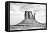 West Mitten BW-Douglas Taylor-Framed Stretched Canvas