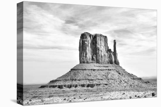 West Mitten BW-Douglas Taylor-Stretched Canvas