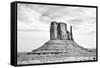 West Mitten BW-Douglas Taylor-Framed Stretched Canvas