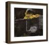 West of the Sun-Kara Smith-Framed Giclee Print