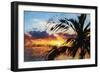 West Palm - In the Style of Oil Painting-Philippe Hugonnard-Framed Giclee Print