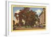 West Park, Stamford, Connecticut-null-Framed Art Print