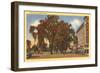 West Park, Stamford, Connecticut-null-Framed Art Print