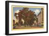 West Park, Stamford, Connecticut-null-Framed Art Print