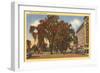 West Park, Stamford, Connecticut-null-Framed Art Print