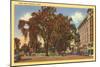 West Park, Stamford, Connecticut-null-Mounted Art Print