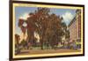 West Park, Stamford, Connecticut-null-Framed Art Print