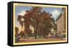 West Park, Stamford, Connecticut-null-Framed Stretched Canvas