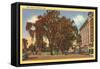 West Park, Stamford, Connecticut-null-Framed Stretched Canvas
