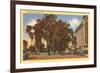 West Park, Stamford, Connecticut-null-Framed Premium Giclee Print