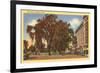 West Park, Stamford, Connecticut-null-Framed Premium Giclee Print