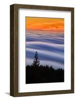 West Peak Fog Flow at Sunset, San Francisco Marin County-Vincent James-Framed Photographic Print