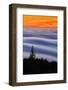 West Peak Fog Flow at Sunset, San Francisco Marin County-Vincent James-Framed Photographic Print