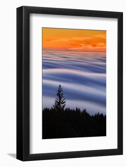 West Peak Fog Flow at Sunset, San Francisco Marin County-Vincent James-Framed Photographic Print