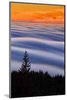 West Peak Fog Flow at Sunset, San Francisco Marin County-Vincent James-Mounted Photographic Print