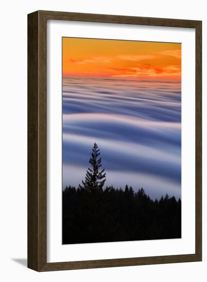 West Peak Fog Flow at Sunset, San Francisco Marin County-Vincent James-Framed Photographic Print