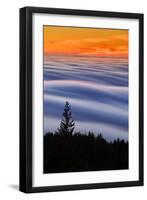 West Peak Fog Flow at Sunset, San Francisco Marin County-Vincent James-Framed Photographic Print