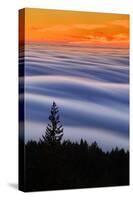 West Peak Fog Flow at Sunset, San Francisco Marin County-Vincent James-Stretched Canvas