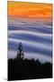 West Peak Fog Flow at Sunset, San Francisco Marin County-Vincent James-Mounted Photographic Print