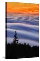 West Peak Fog Flow at Sunset, San Francisco Marin County-Vincent James-Stretched Canvas