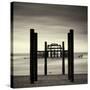 West Pier, Brighton, West Sussex-Craig Roberts-Stretched Canvas