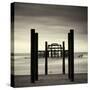 West Pier, Brighton, West Sussex-Craig Roberts-Stretched Canvas