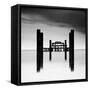 West Pier, Brighton, West Sussex-Craig Roberts-Framed Stretched Canvas