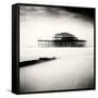 West Pier, Brighton, West Sussex-Craig Roberts-Framed Stretched Canvas