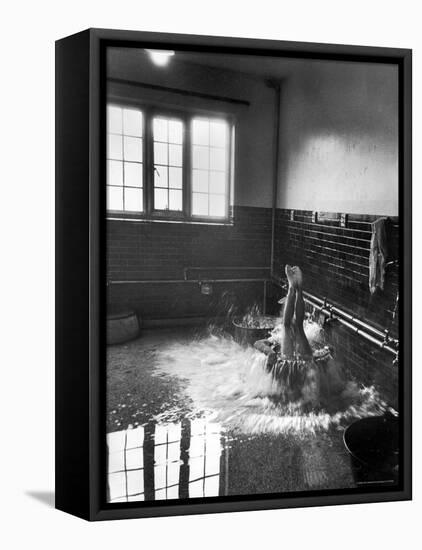 West Point Cadet Adjutant Reading Orders of the Day to 1,650 Cadets at the US Military Academy-Cornell Capa-Framed Stretched Canvas