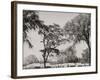 West Point, N.Y., Camp of Cadets-null-Framed Photo