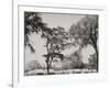 West Point, N.Y., Camp of Cadets-null-Framed Photo