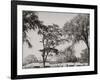 West Point, N.Y., Camp of Cadets-null-Framed Photo