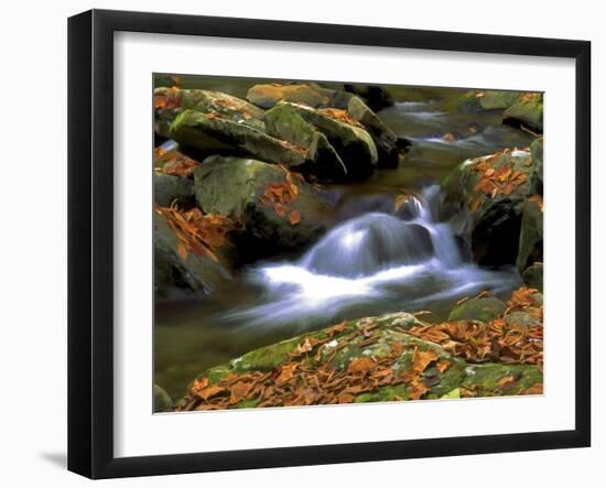 West Prong-J.D. Mcfarlan-Framed Photographic Print