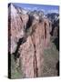 West Rim, Zion National Park, Southwest Utah, USA-Alison Wright-Stretched Canvas