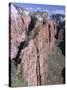 West Rim, Zion National Park, Southwest Utah, USA-Alison Wright-Stretched Canvas